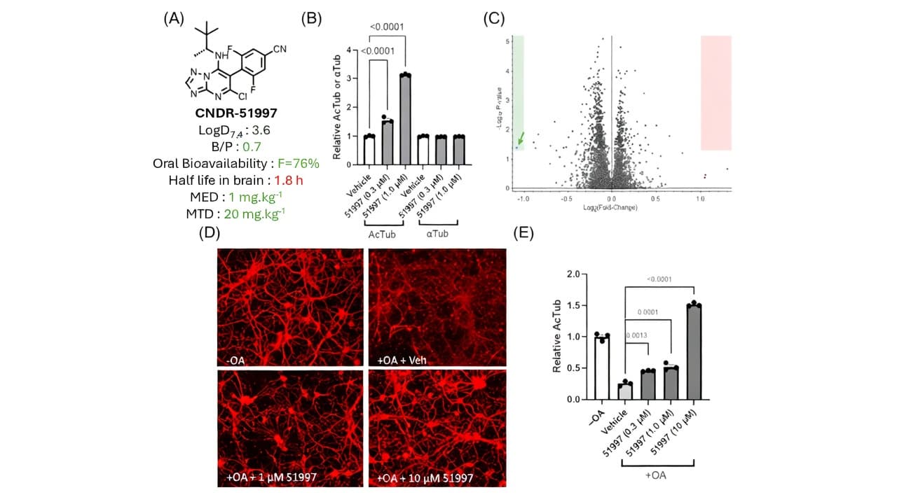 CNDR-51997 Structure and Cellular Activity