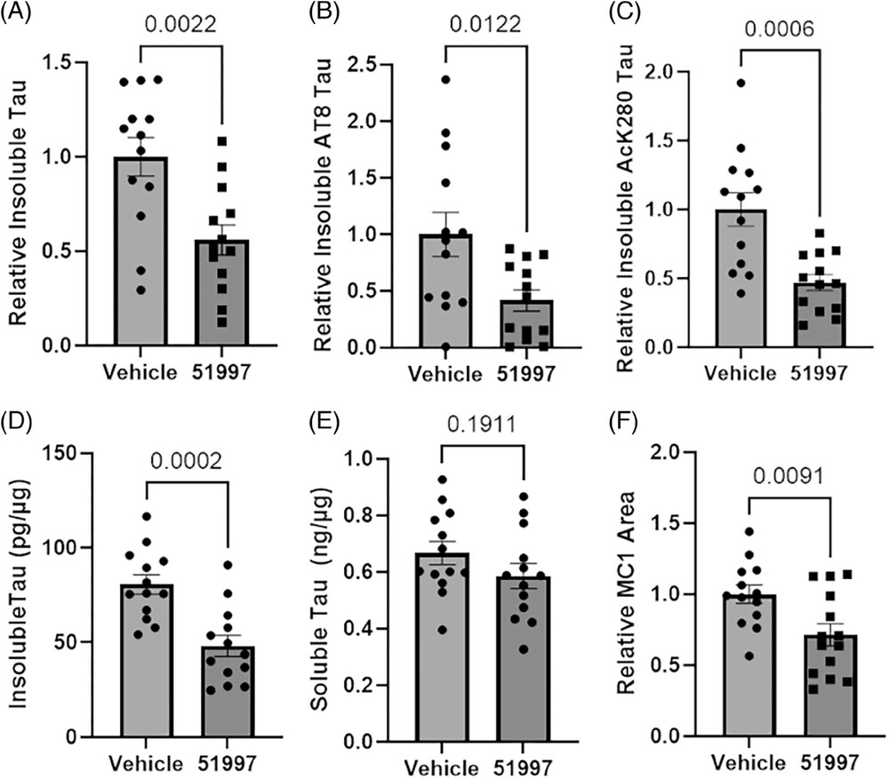 Tau Pathology in PS19 Mice