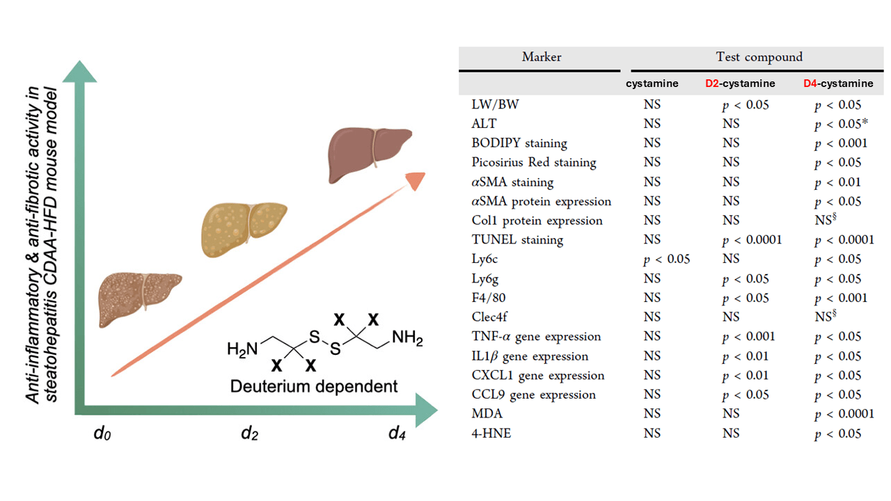 Cystamine bioisostere with deuterium incorporation