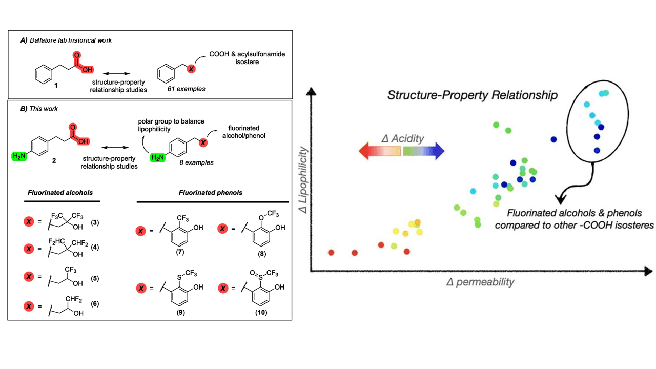 Fluorinated isosteres as carboxylic acid bioisosteres